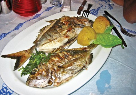 Prehrana_Ribe