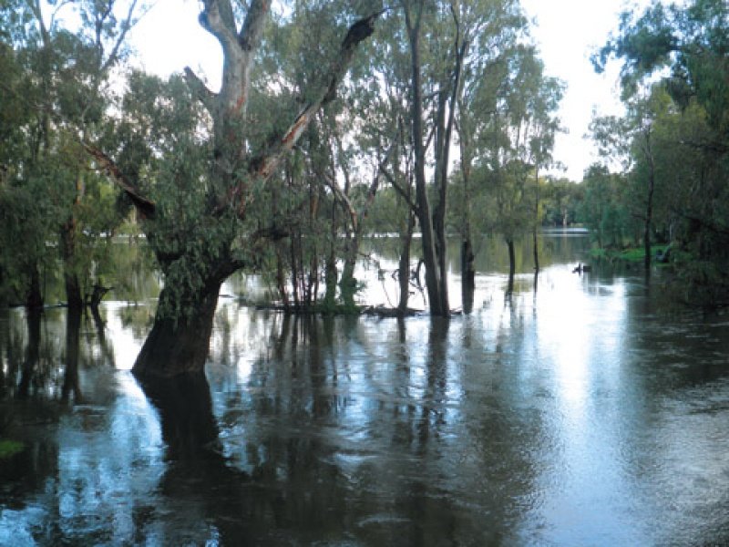 Poplave na najbolj suhi celini