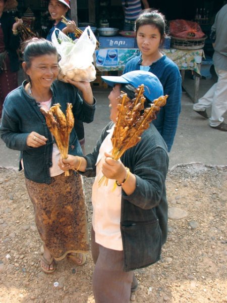 Laos, vzhajajoča zvezda JV Azije