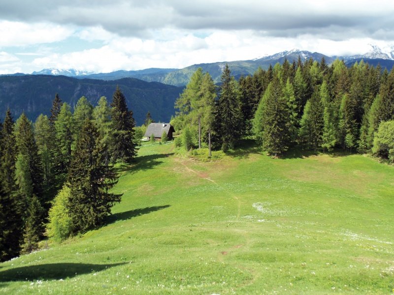 Razkošna belina pobočij Španovega vrha