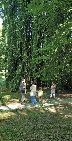 Družina - svetišče našega življenja