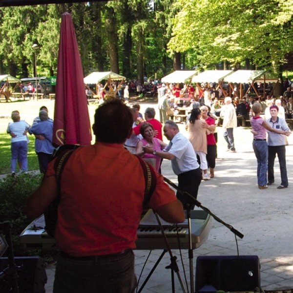 Dolenjci tradicionalno na Jasi