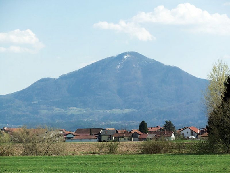 Z Gozdnika na potep po Spodnji Savinjski dolini