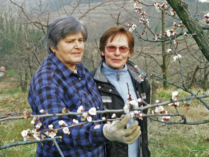 Pokojnine bodo nekoliko višje