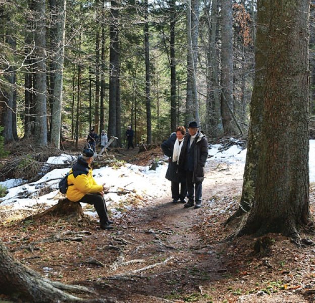 (Pre)draga prostovoljna vključitev v obvezno zavarovanje