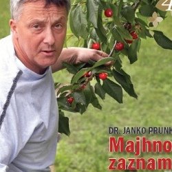 Št. 6, junij